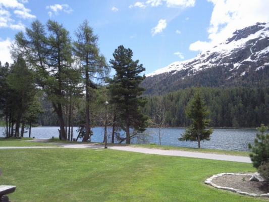 The Lake